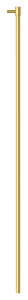 Dusch Tillbehör SHOWER RAIL STRAIGHT EXTENDED 1300 MM (Borstad Mässing PVD)